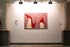 Prudential Installation view, Comfort and Joy.